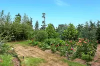 View 54