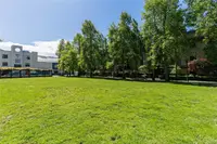 View 39
