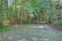 View 65