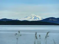 View 32
