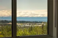 View 36