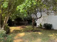 View 29