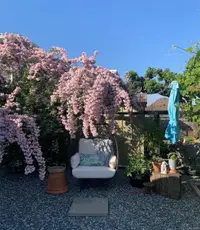 View 61
