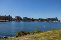 View 42