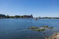 View 44