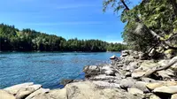 View 73