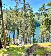 View 75