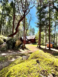View 69