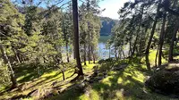 View 68
