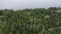 View 13
