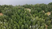 View 14
