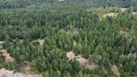 View 8