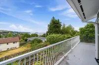 View 49