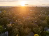 View 44