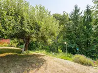 View 14