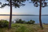 View 49