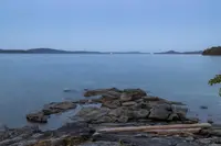 View 50