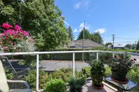 View 12