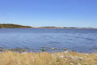View 38