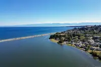 View 41