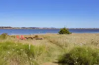 View 37