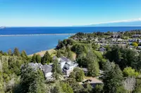 View 39