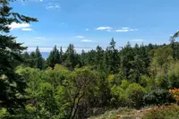 View 28