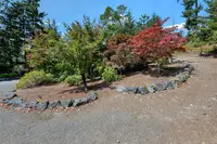 View 54