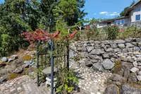 View 60