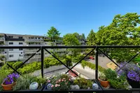View 23