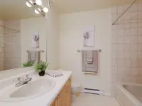 View 24