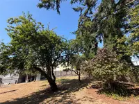 View 10