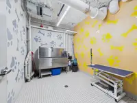 View 28