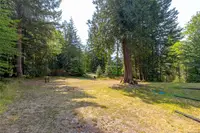 View 37