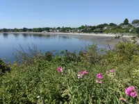 View 44