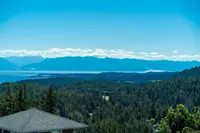 View 50