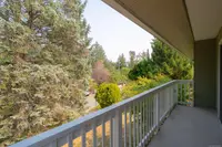 View 16