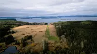 View 10