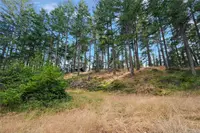 View 19