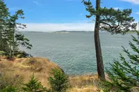 View 21
