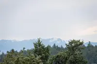 View 11
