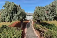 View 63