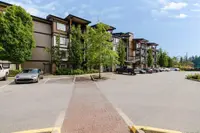View 24