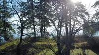 View 10