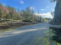View 37