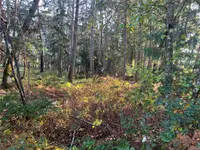 View 35