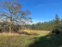 View 31