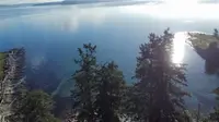 View 8