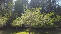 View 53