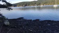View 63